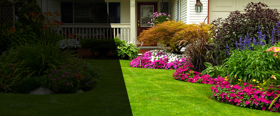Aynor Landscapers