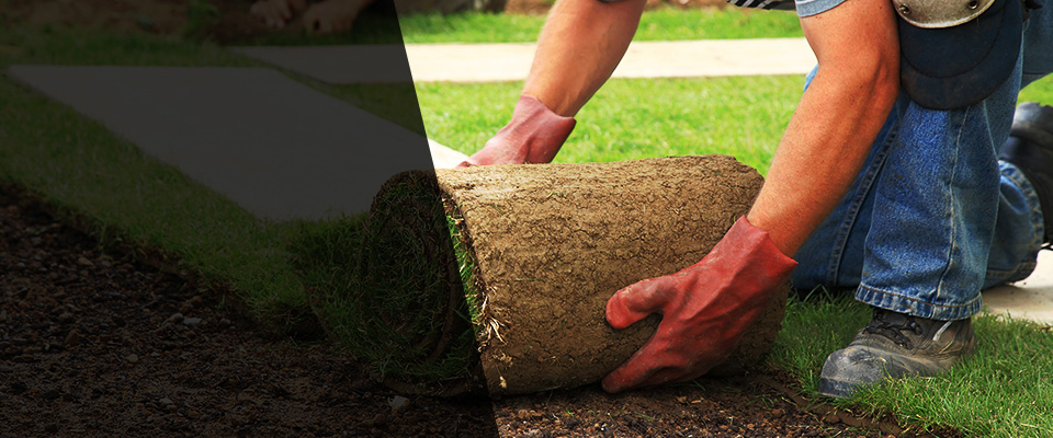 Aynor Landscapers